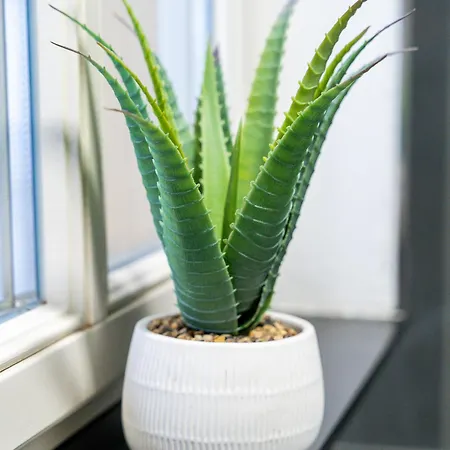 Goethes Altstadt Lejlighed Weimar (Thuringia)