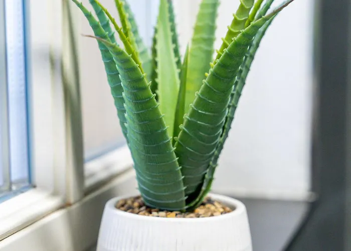 Goethes Altstadt Lejlighed Weimar (Thuringia)